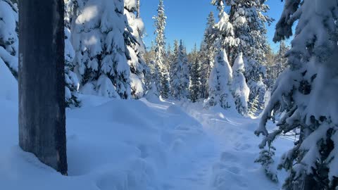 Freezing 13F with 5F Wind Chill – Central Oregon – Swampy Lakes Sno-Park