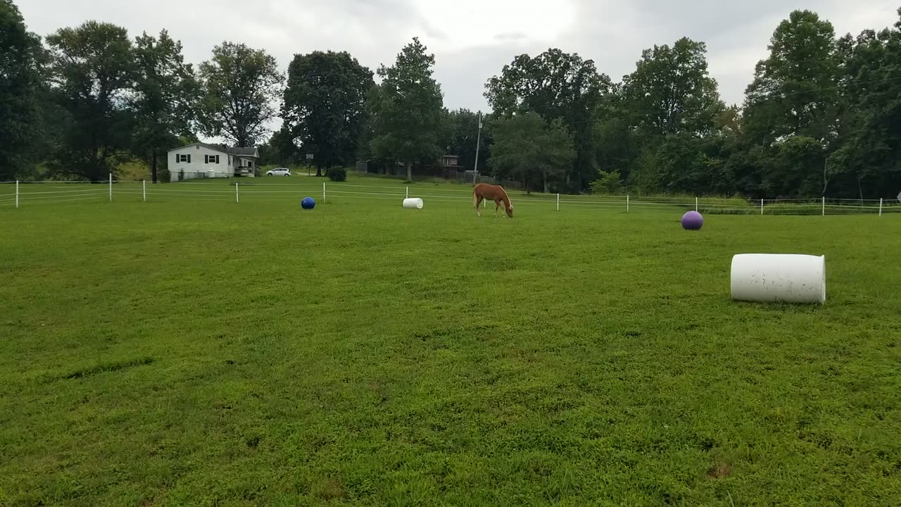 Purple kick ball