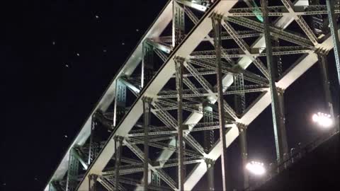 Seagulls Feeding on Moths Above Sydney Harbour Bridge at Night