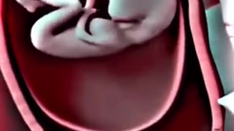 How Babies are Made: A Guide to Sexual Reproduction | Animation Video