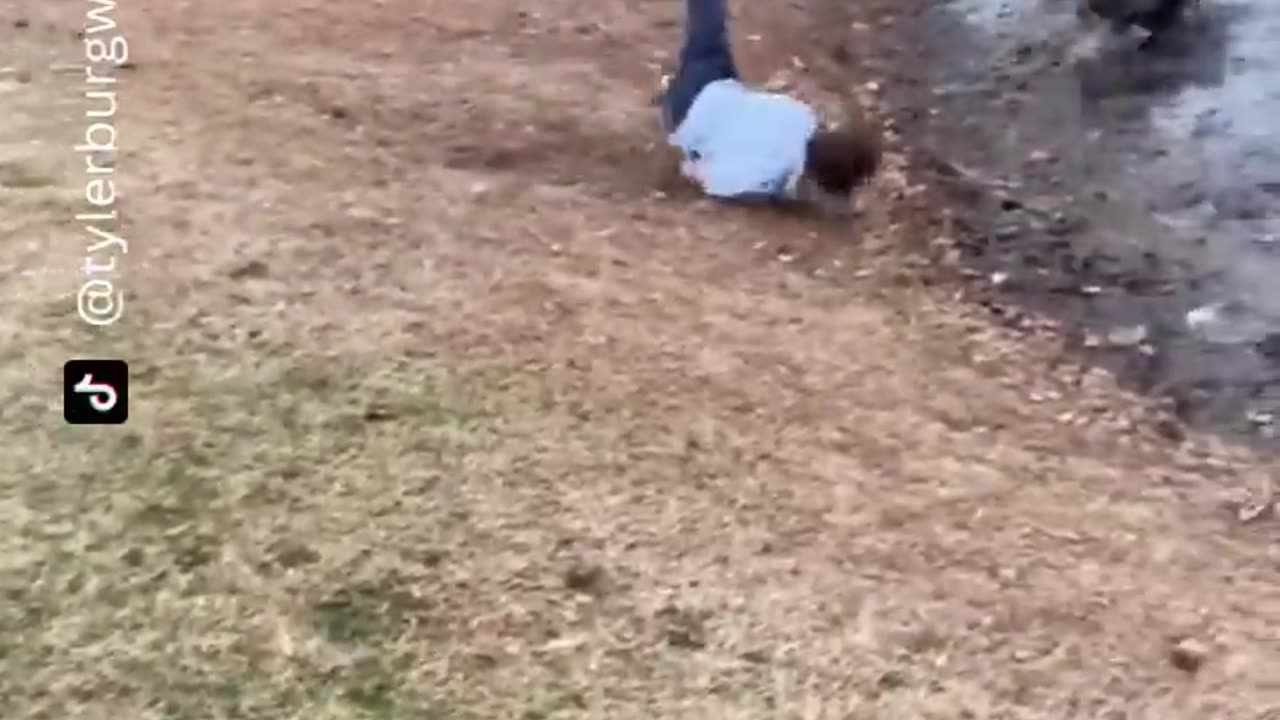 "The end 😂😂😂 #funny #viral #shorts #funnyvideos"