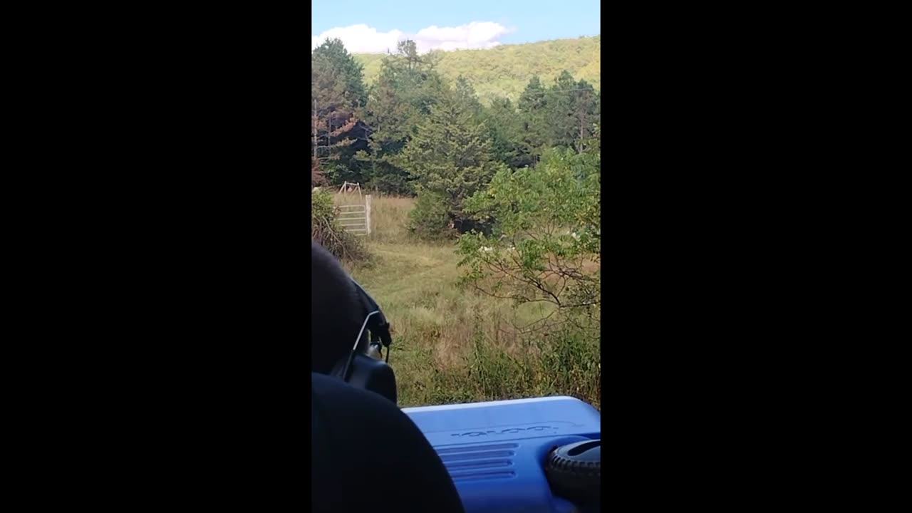 Cedar Vs Tannerite