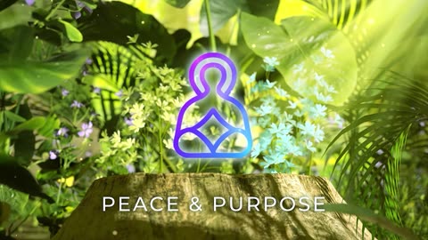 Peace & Purpose - Letting Go of Fears