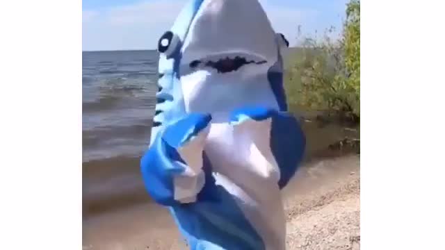 A happy shark