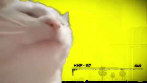 Hilarious Cat Vibing to Levan Polkka - Cyberpunk 2077 Style Music Mashup