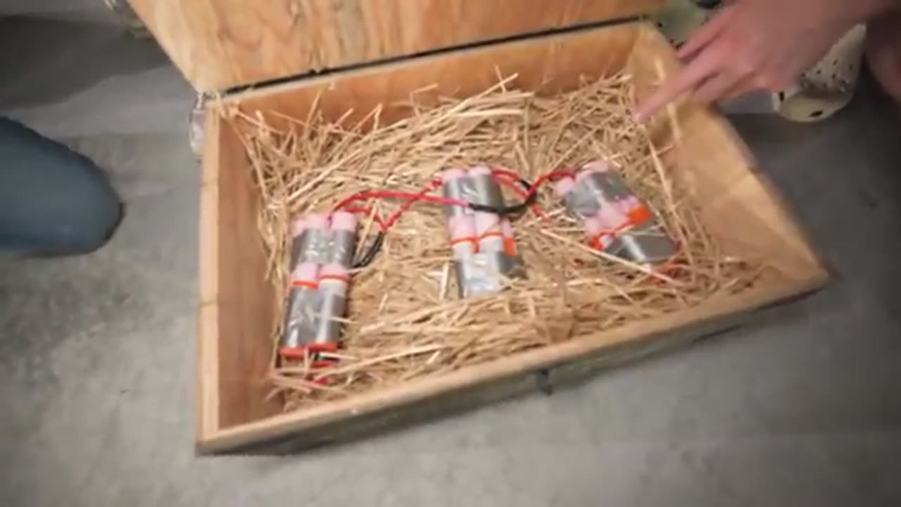 Mt. Beast latest