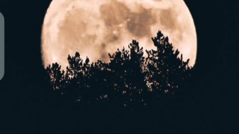 9 interesting facts about the moon 🎑