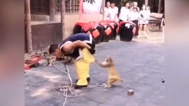 Try not to laugh challenge impossible