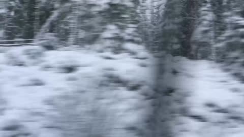 Train ride from Oslo to get to Bergen, Norway (edited)