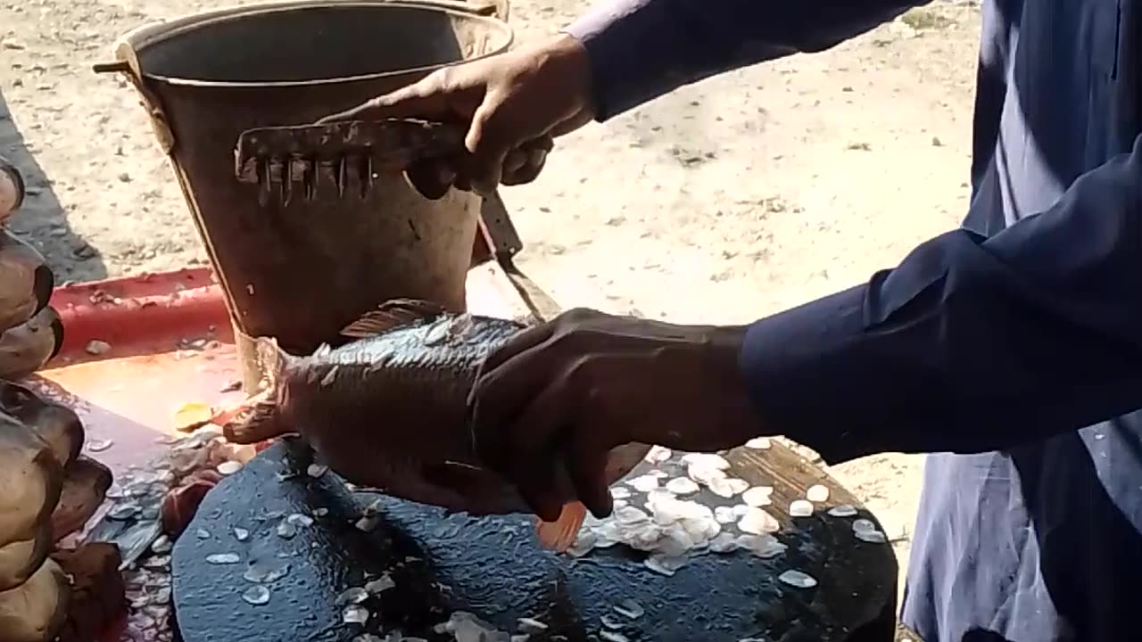 Fish cutting