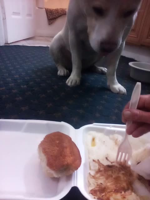 "muchobueno" @jacksfamilykitchenla