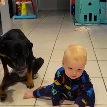 a little cuteness daily 954555225