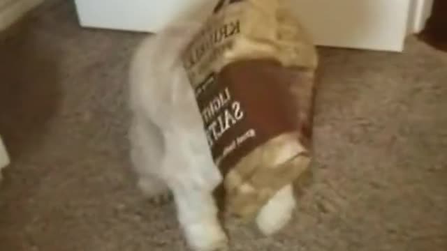 Who am I and where am I