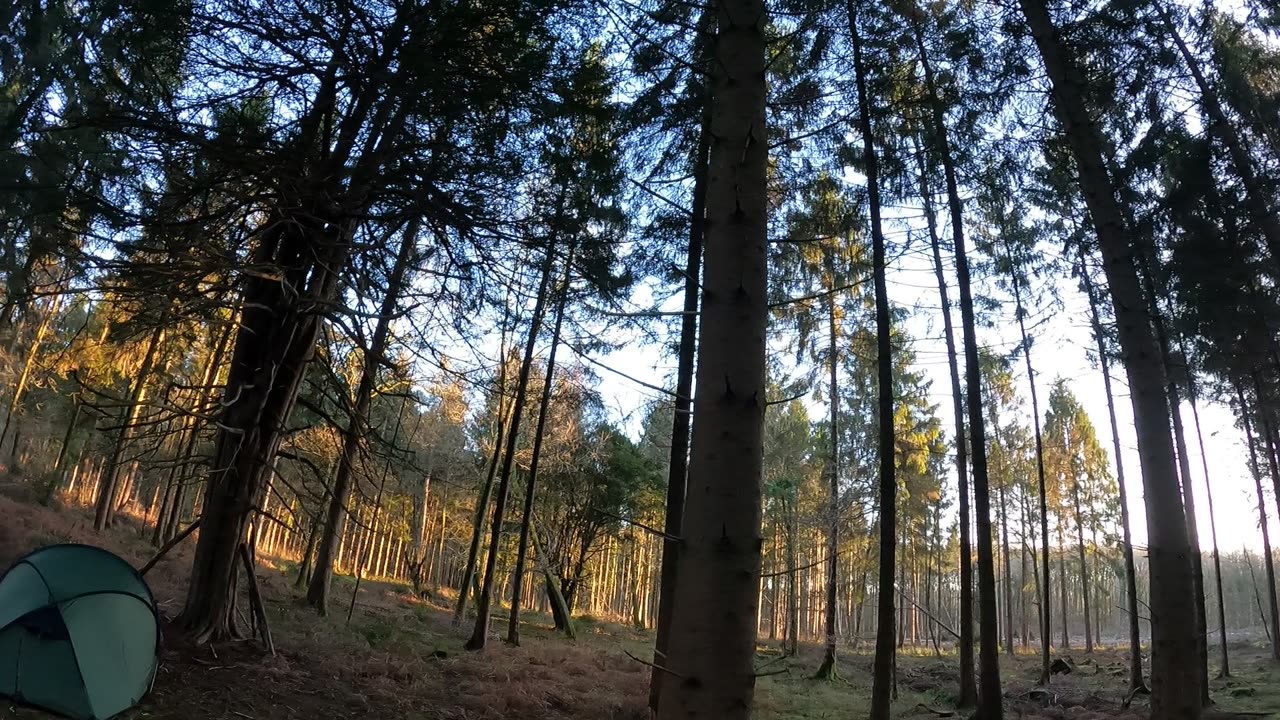 I heard something. Let's take a look 19th Jan 2023