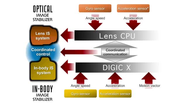 In-Body Image Stabilization in the EOS R5 and EOS R6_Cut