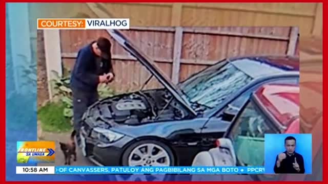 Pusa, nagawangisaraang hood ng sasakyan ng kaniyang amo