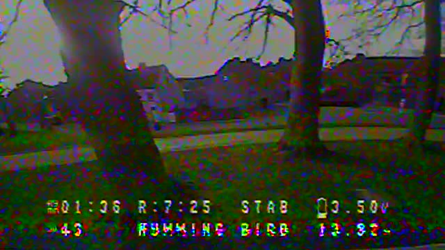 FPV