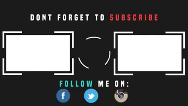 Funniest Animals Video Funny Dogs And Cats