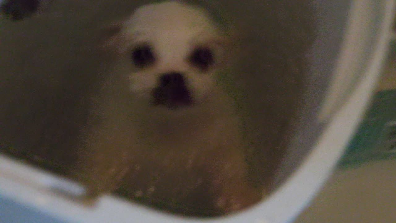 binBATHstandPA080133