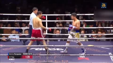 pacquiao vs dk yoo