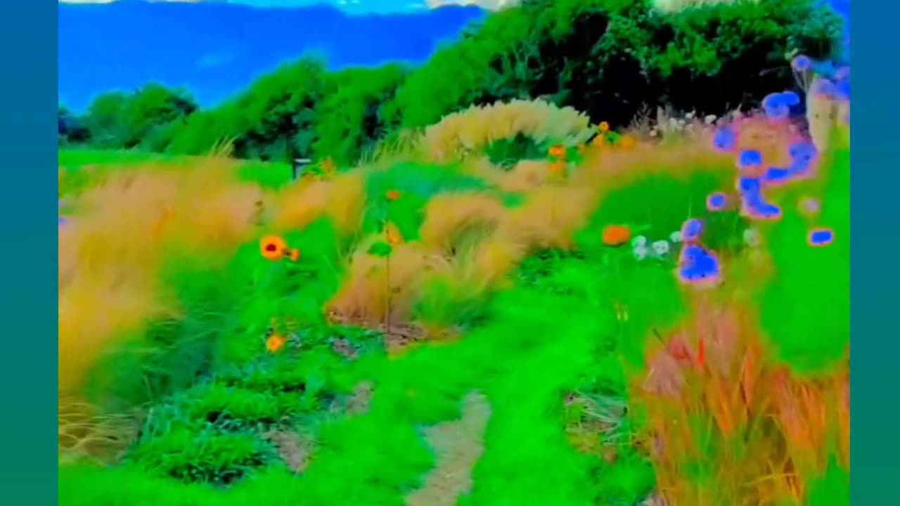 Flower new video||Shorts video||heart touching video