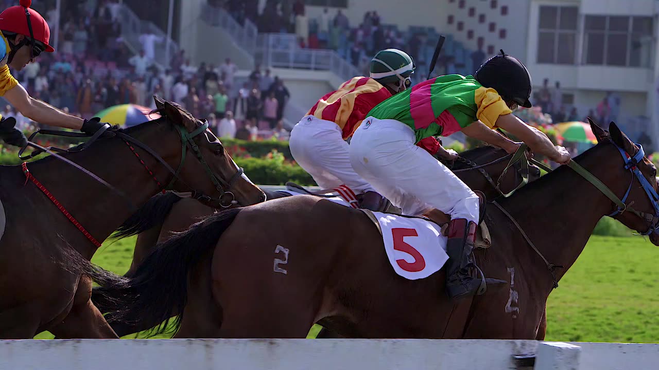 Unbelievable horse race! Pakistan