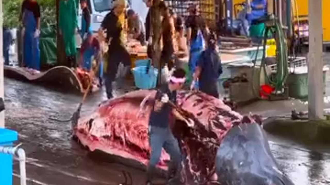 Whale meat cutting technique in Japan