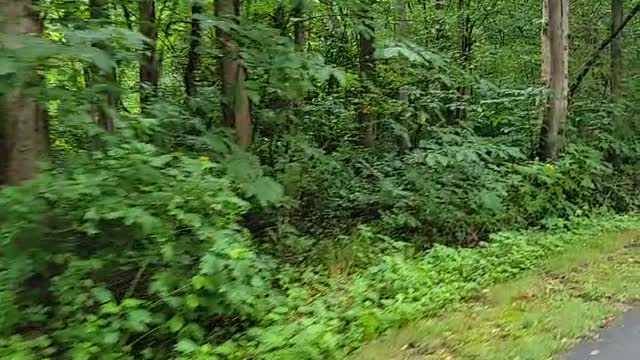 Biking Charlotte 6