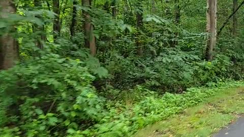 Biking Charlotte 6