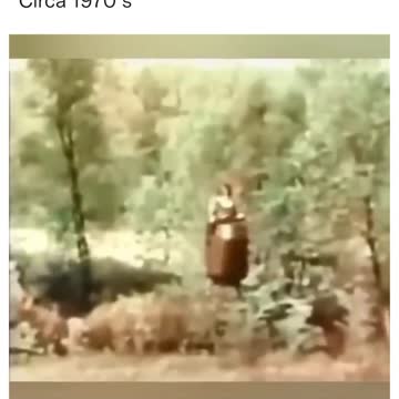 They’ve done a wonderful job dumbing us down