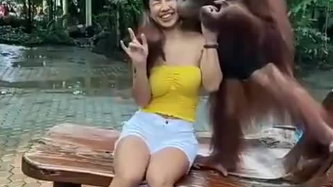 This is one monkey identify beauty when he see it 🤣