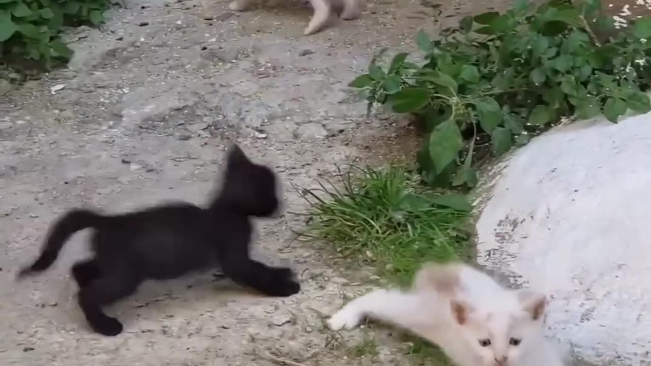 too cute😍🥰❤️
