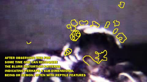 224. The Dragon Spirits in IP Man (Part 5)