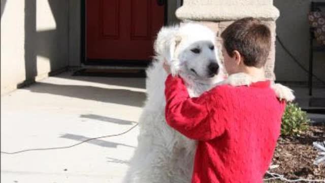 God Said I Give You Life, What You Do With it is Up To You