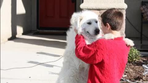 God Said I Give You Life, What You Do With it is Up To You