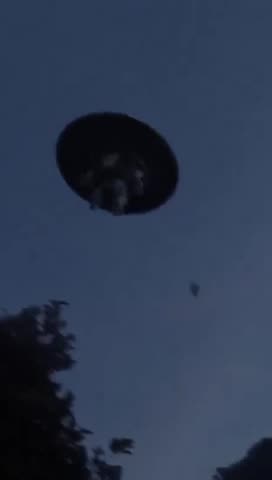 🤣🤣 Ok this is just weird