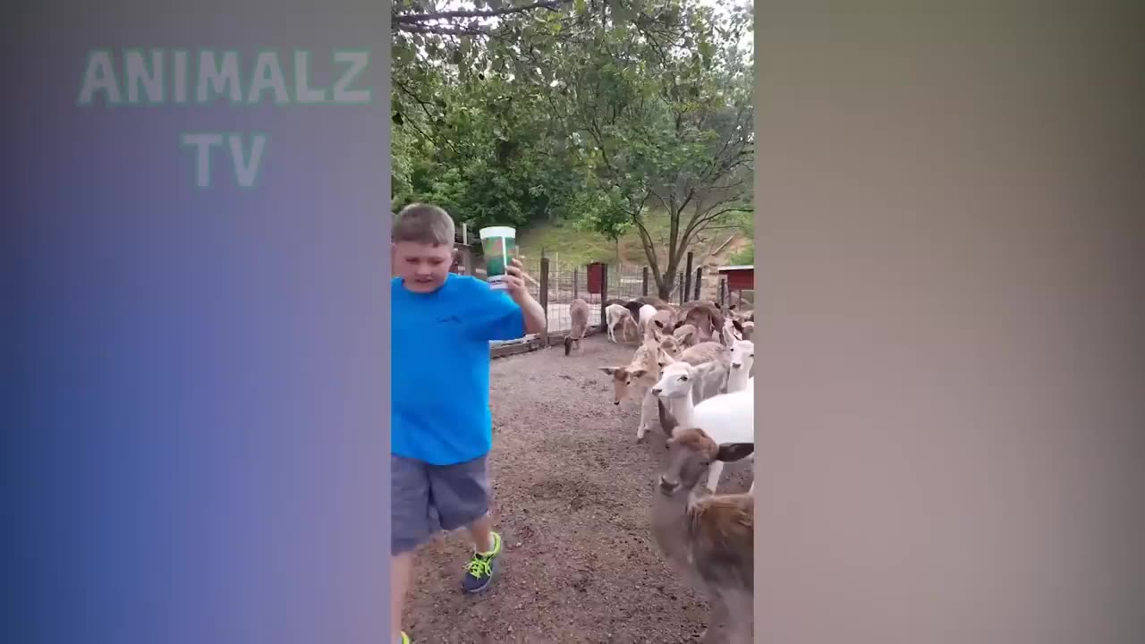 Enfants drôles et les tout petits jouant avec les animaux de la ferme