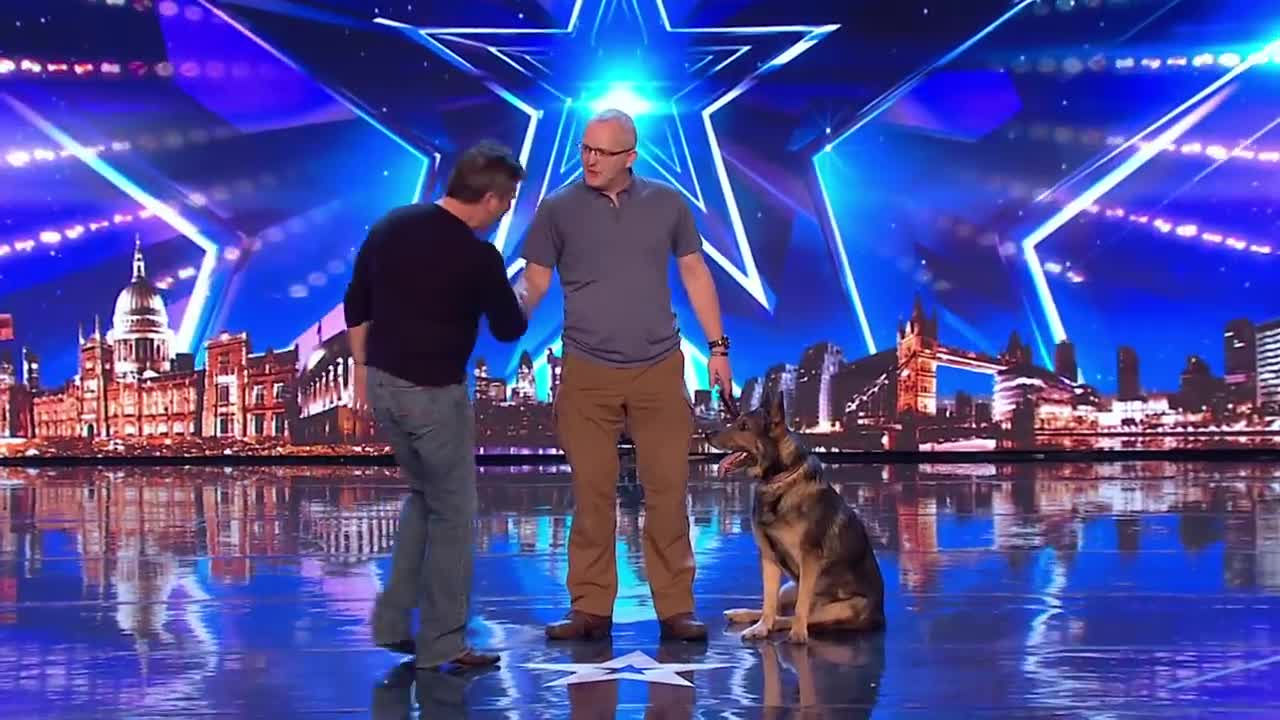 HEROIC POLICE DOG FINN MOVES THE JUDGES TO TEARS