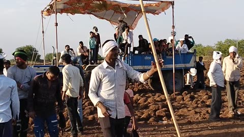 Bullock race at India