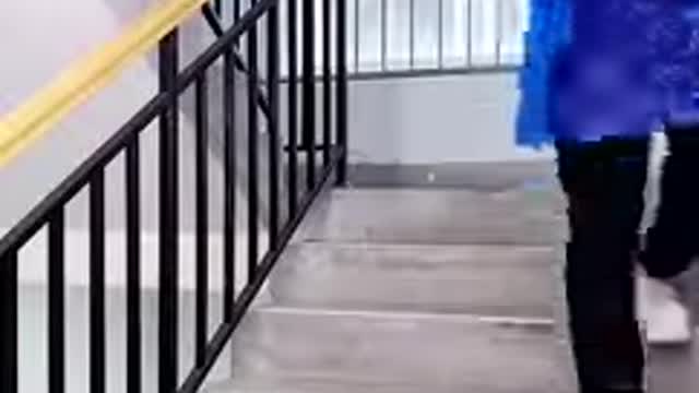 Housekeeping items you should have