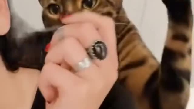 This cat is like her boyfriend..