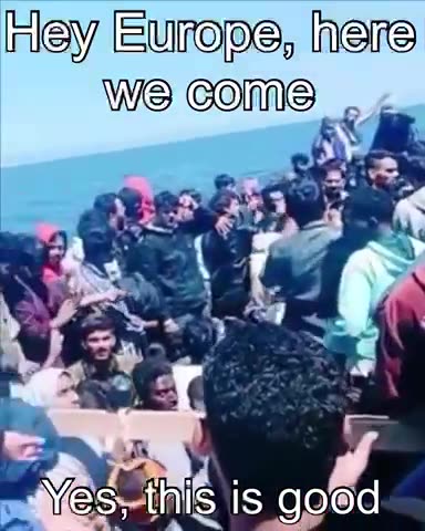 Europe invasion 2023. Yes, this is good. 🤮🤬🥷❌