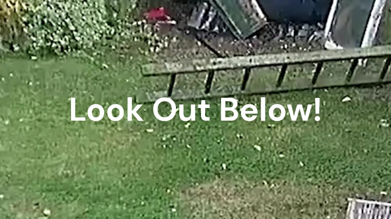 Crazy and Funny Videos!