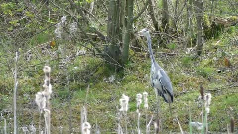 Animal World Nature Park amzone | 2023