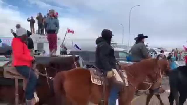 Horse Parade