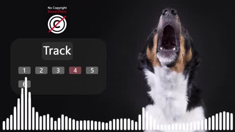 Dogs Howling sound effect no copyright # dog howl noises # dog sounds # HQ