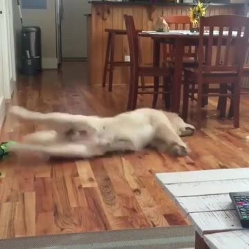 Training for life. Even in my sleep.