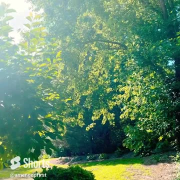 Keep Earth Beautiful Together 🌲 #shorts