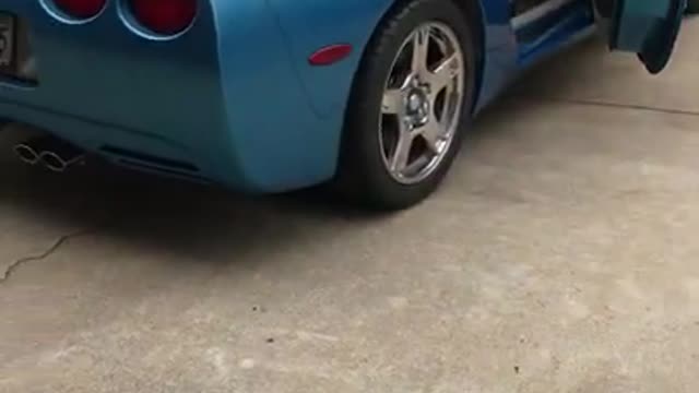 1999 Chevrolet Corvette C5 Nassau Blue Start Up and Walk Around