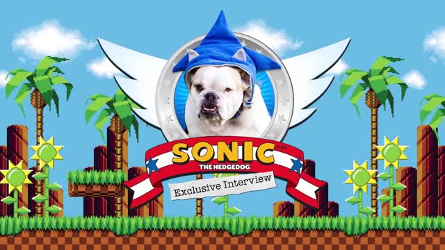 Behind the Scenes Sonic The Hedgedog Interview